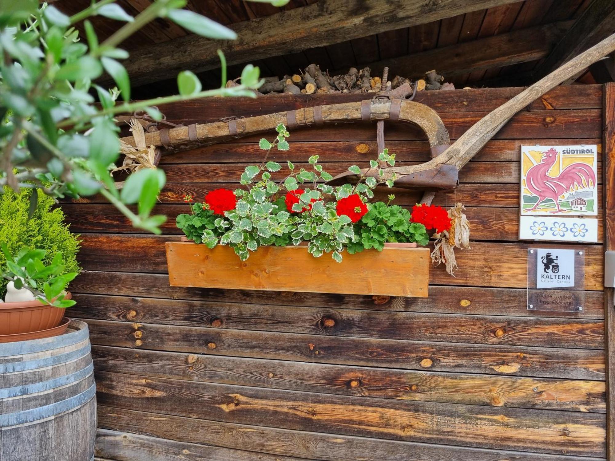 Urlaub Auf Dem Bauernhof Schmidhof - Grosse Terrasse, Pool Und Beste Lage Kaltern Exterior foto